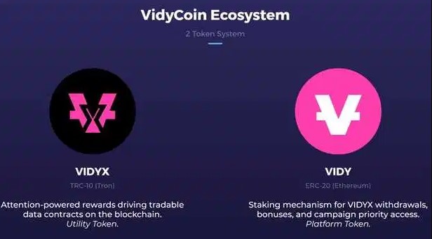 Mengenal Apa Itu VIDYX dan VIDY Mengenal Apa Itu VIDYX dan VIDY