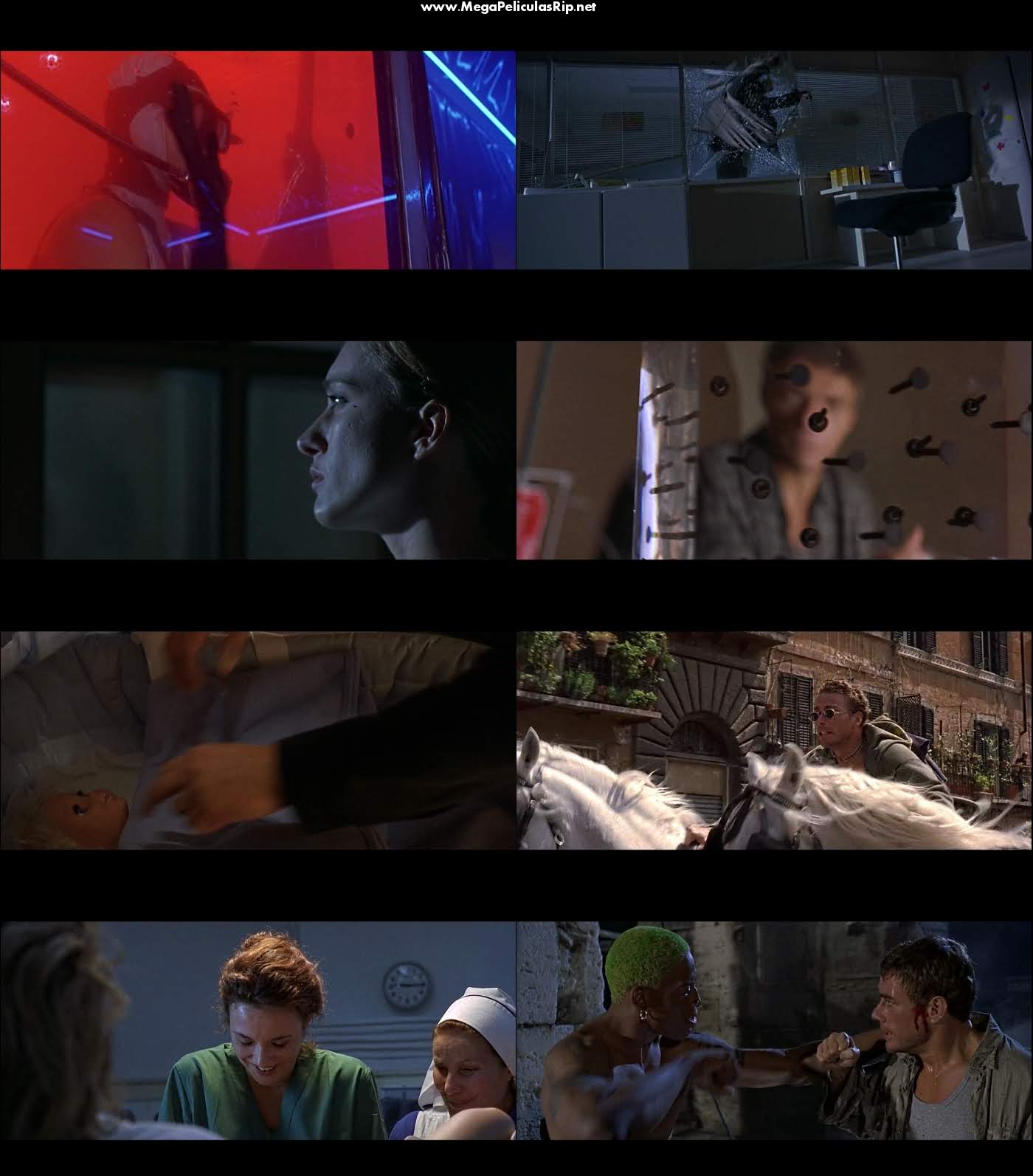 La Colonia 1080p Latino