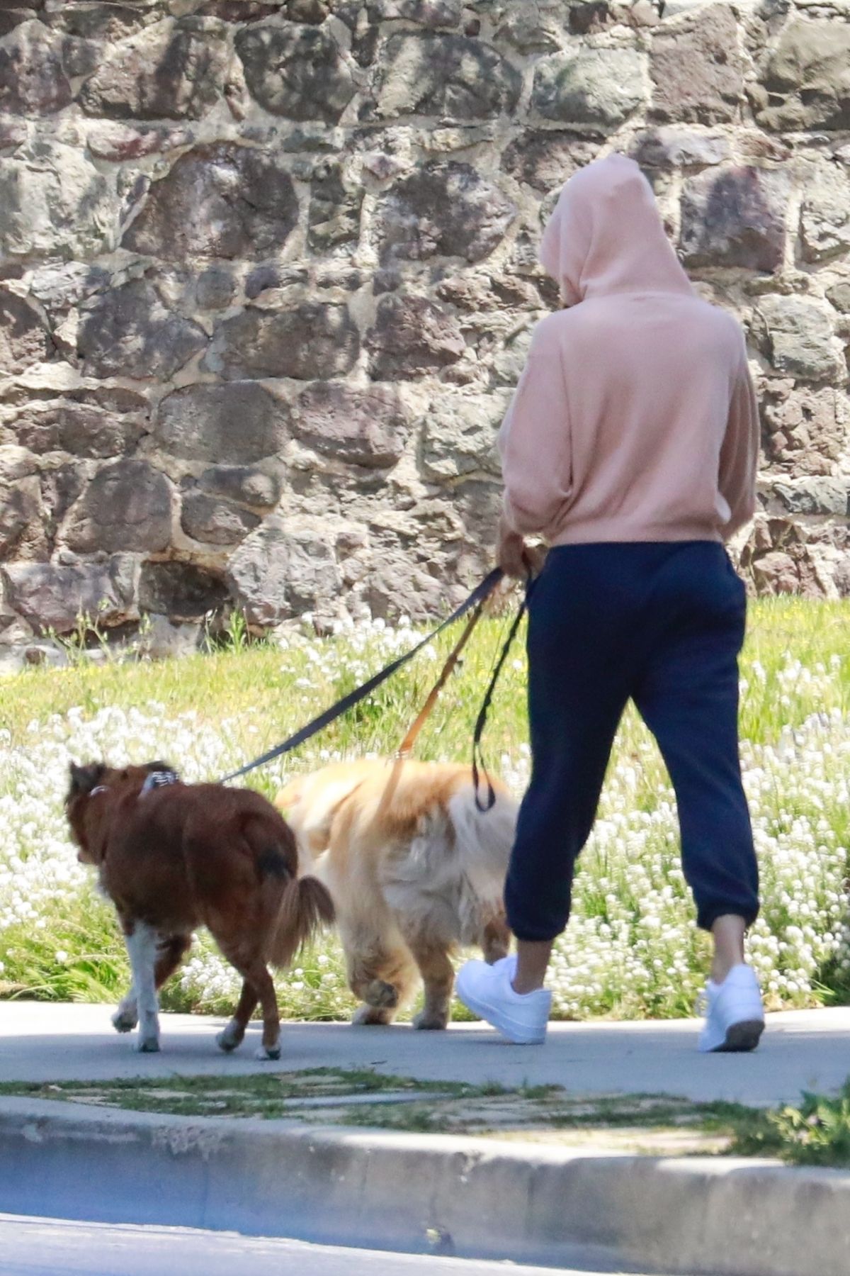 AUBREY PLAZA Out with Her Dogs in Los Feliz
