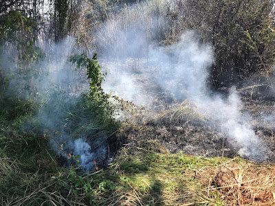 Πυρκαγιά σε καλάμια ξέσπασε στην περιοχή Αμπάρια Παναιτωλίου