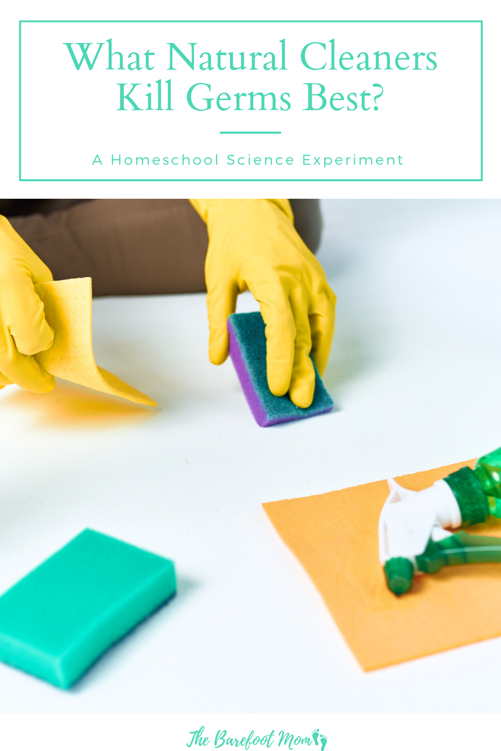 What Natural Cleaners Kill Germs Best? A Homeschool Science Experiment