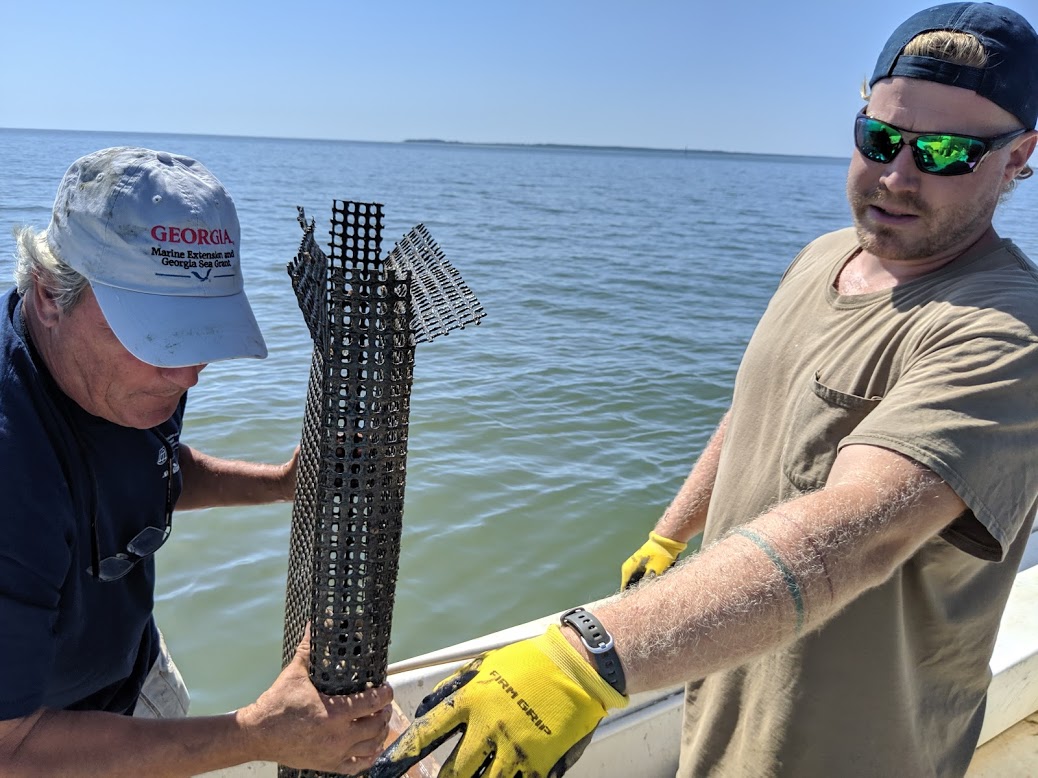 Stories from the Creek Oyster Farming Industry Positioned For Growth
