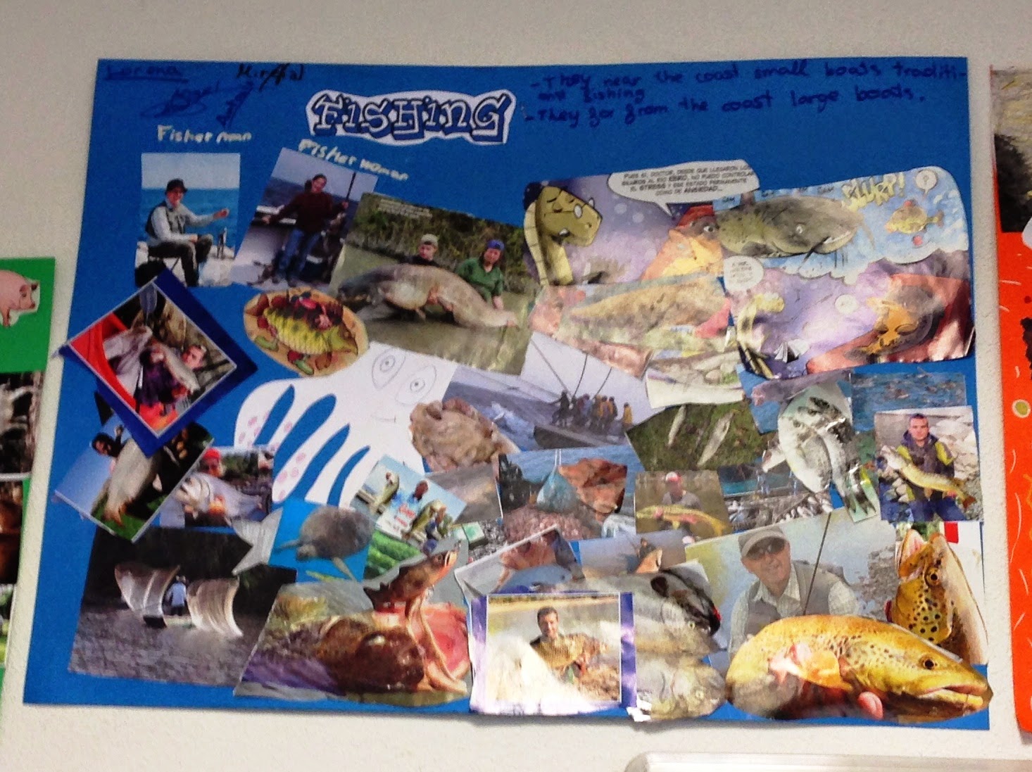 SCIENCE IN THE SCHOOL: Displays