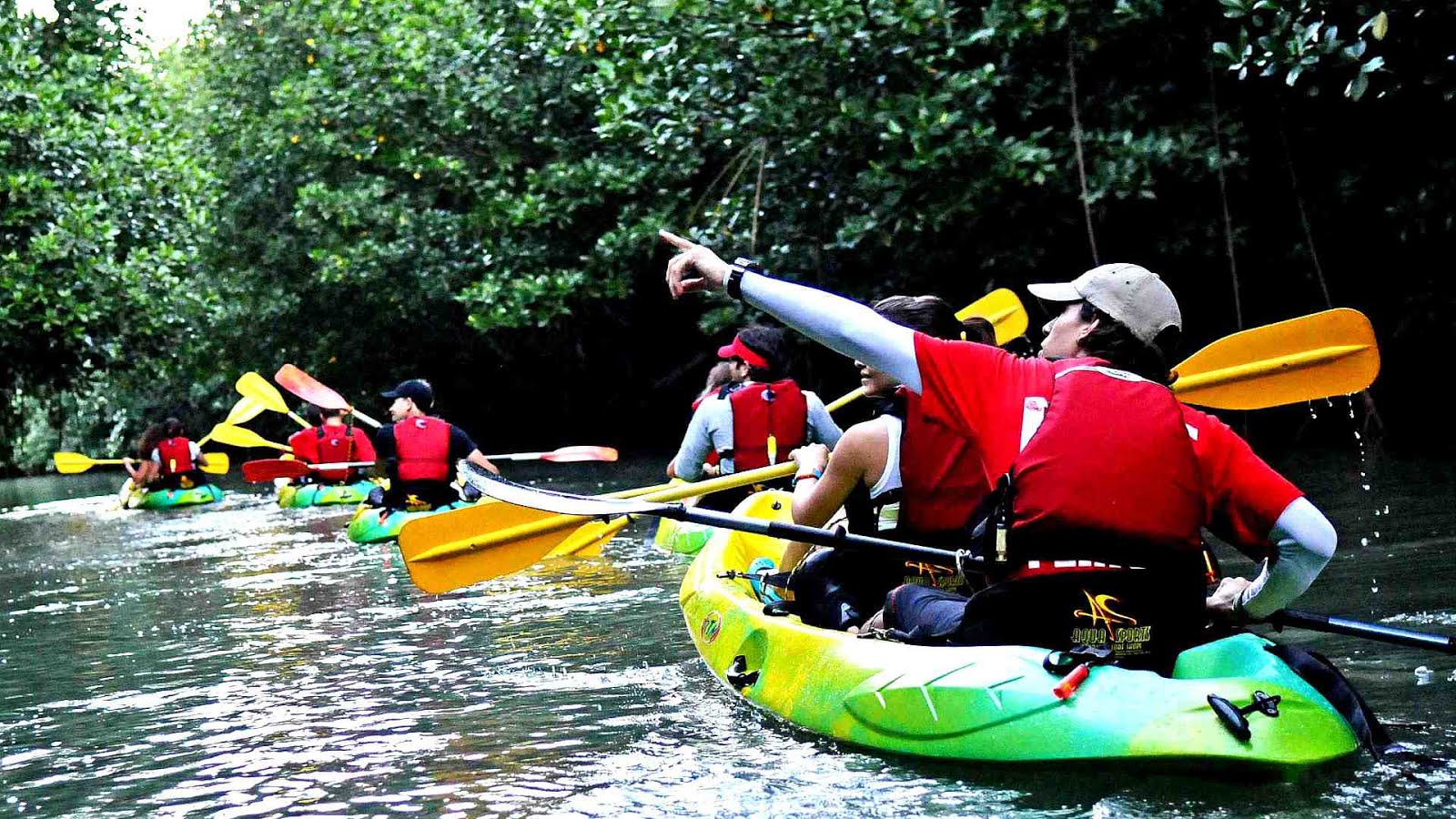 Kayaking In Puerto Rico Kayak Choices