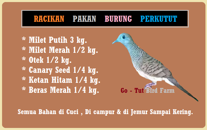 Cara Meracik Pakan Burung Perkutut Peternakan Burung Perkutut