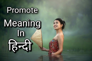 Promote Meaning In Hindi
