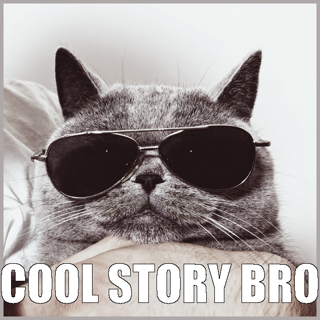 Cool Story Cat