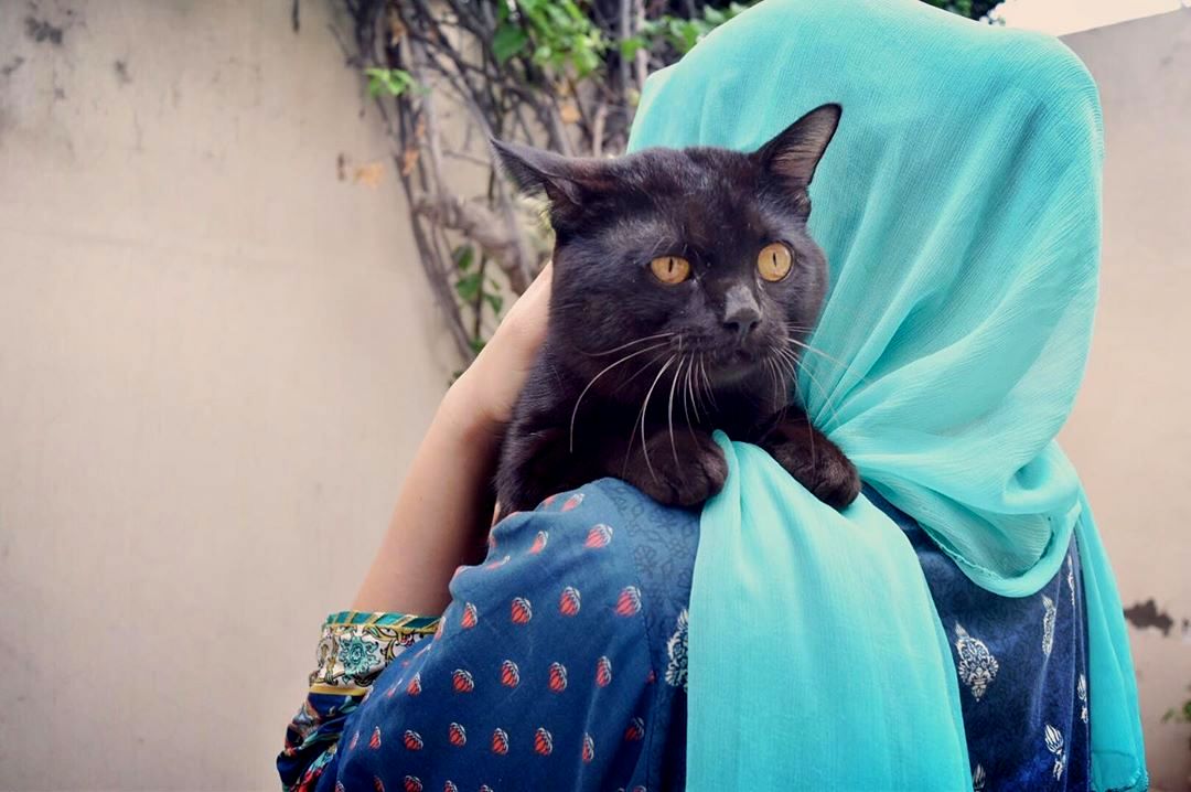 Girls Hijab Style Dp For Whatsapp Facebook Instagram Profile Facebook Display Pictures This queen doesn't need a king. girls hijab style dp for whatsapp