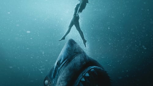 47 Meters Down Streaming Vostfr Regarder 47 Meters Down: Uncaged 2019 Film Complet Gratuit - Streaming