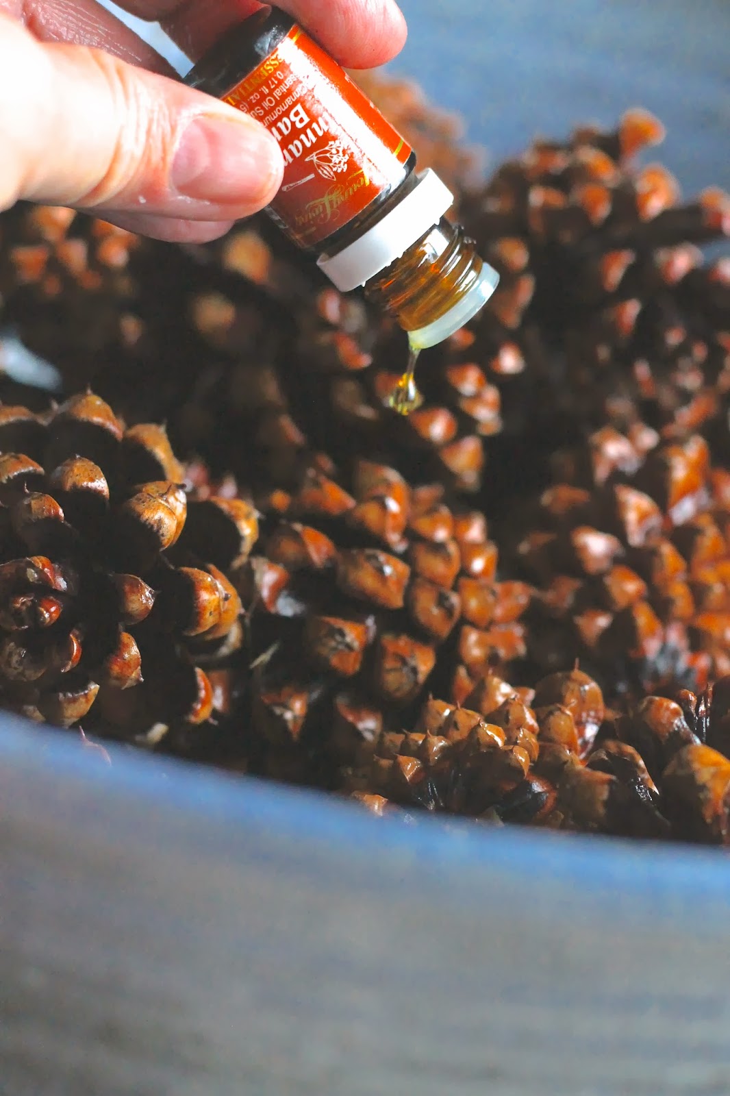 How To Make My Pine Cones Smell Like Cinnamon at Kerry Colon blog