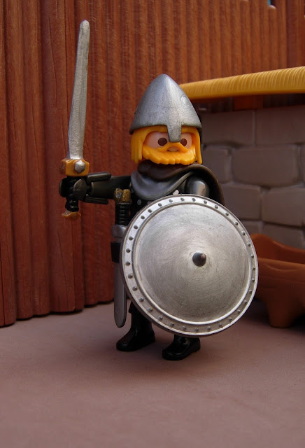 Playmobil Vikings