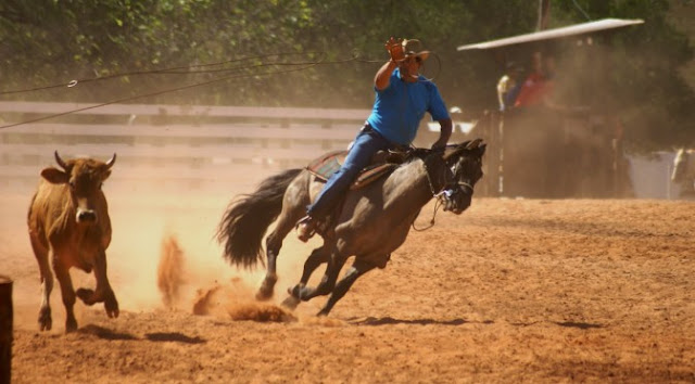 Vereador quer tornar a Tropeada, Rodeio Crioulo e as Domingueiras de Laço Comprido como Patrimônio Cultural de Manoel Ribas