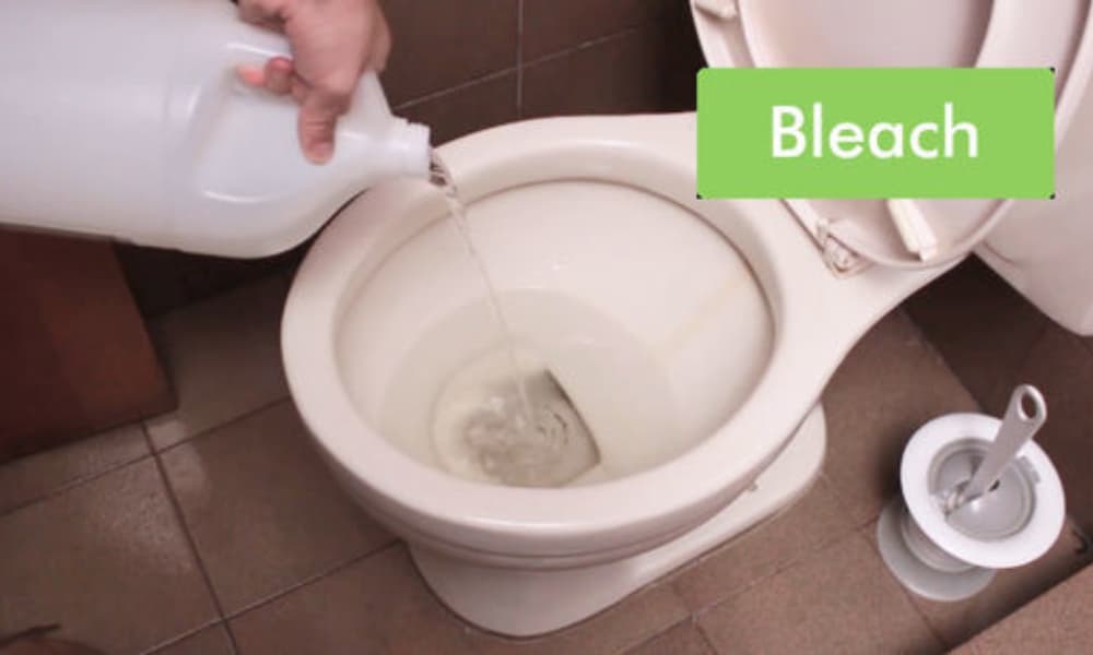 how to unclog a toilet with poop still in it