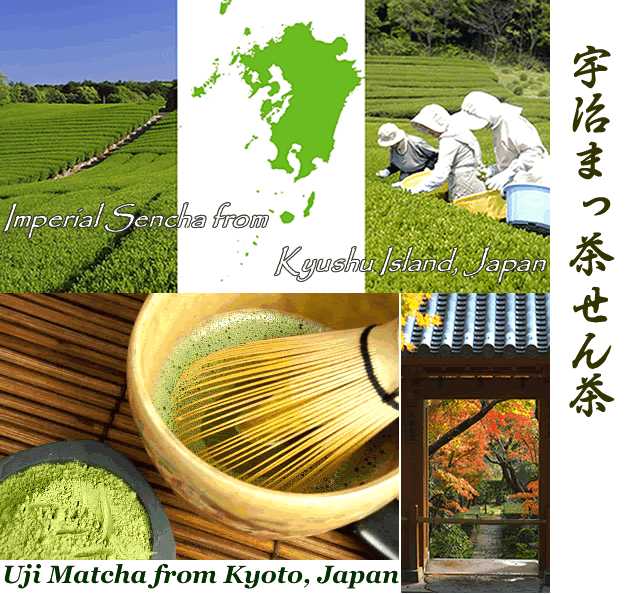 Uji matcha blend Imperial sencha japanese green tea Uji matcha blend Imperial sencha japanese green tea premium uji Matcha green tea powder aojiru young barley leaves green grass powder japan benefits wheatgrass yomogi mugwort herb