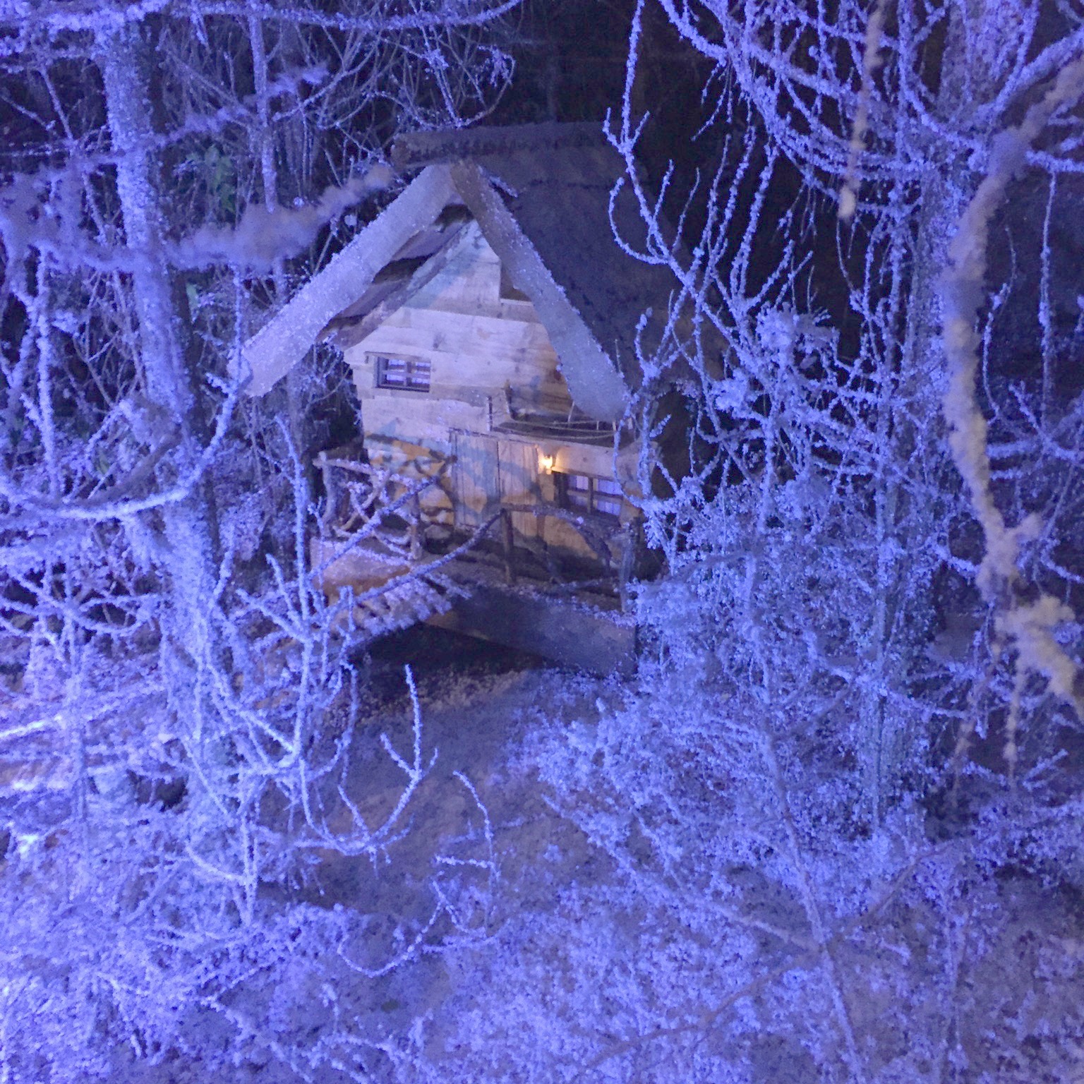 Lapland UK Review Mrs Jones London