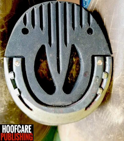 Fran Jurga`s Hoofcare + Lameness Thinking Outside the Flip Flop Box