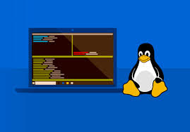 10 basic Linux commands Mously Academy