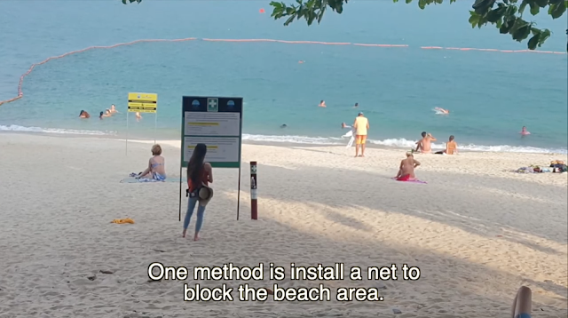 Box Jellyfish In Isolation Videos