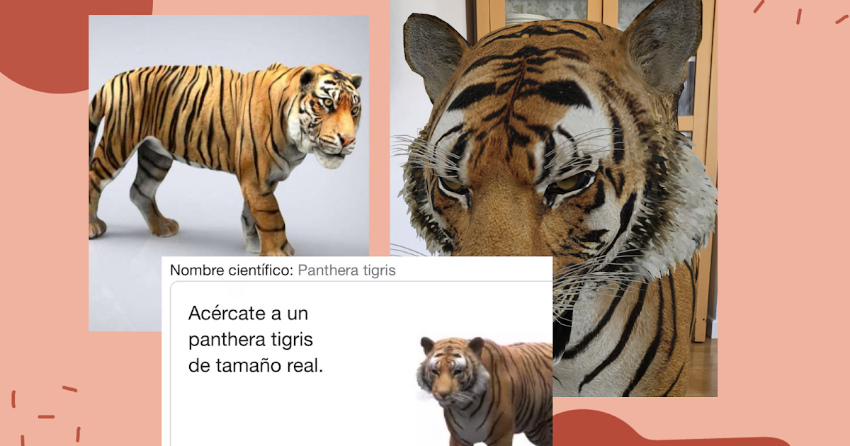 Logopedia en especial Disfruta de animales 3D en tu casa de manera