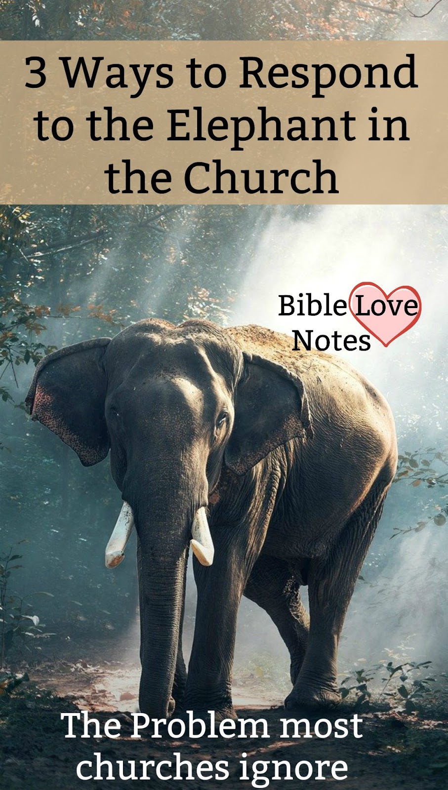 Bible Love Notes The Elephant in the Church