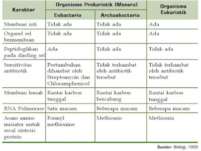 Pengertian Organisme Kingdom Monera Eubacteria serta Bentuk dan Struktur Tubuh Bakteri