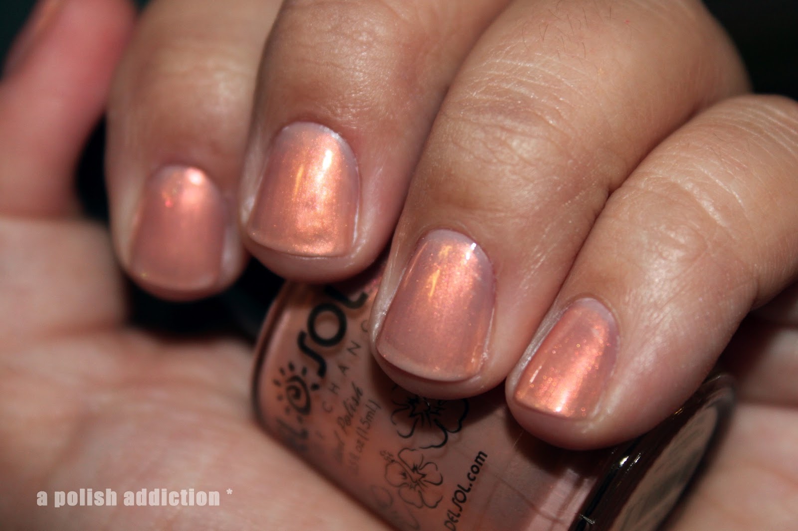 A Polish Addiction Del Sol Color Changing Nail Polish Swatches and