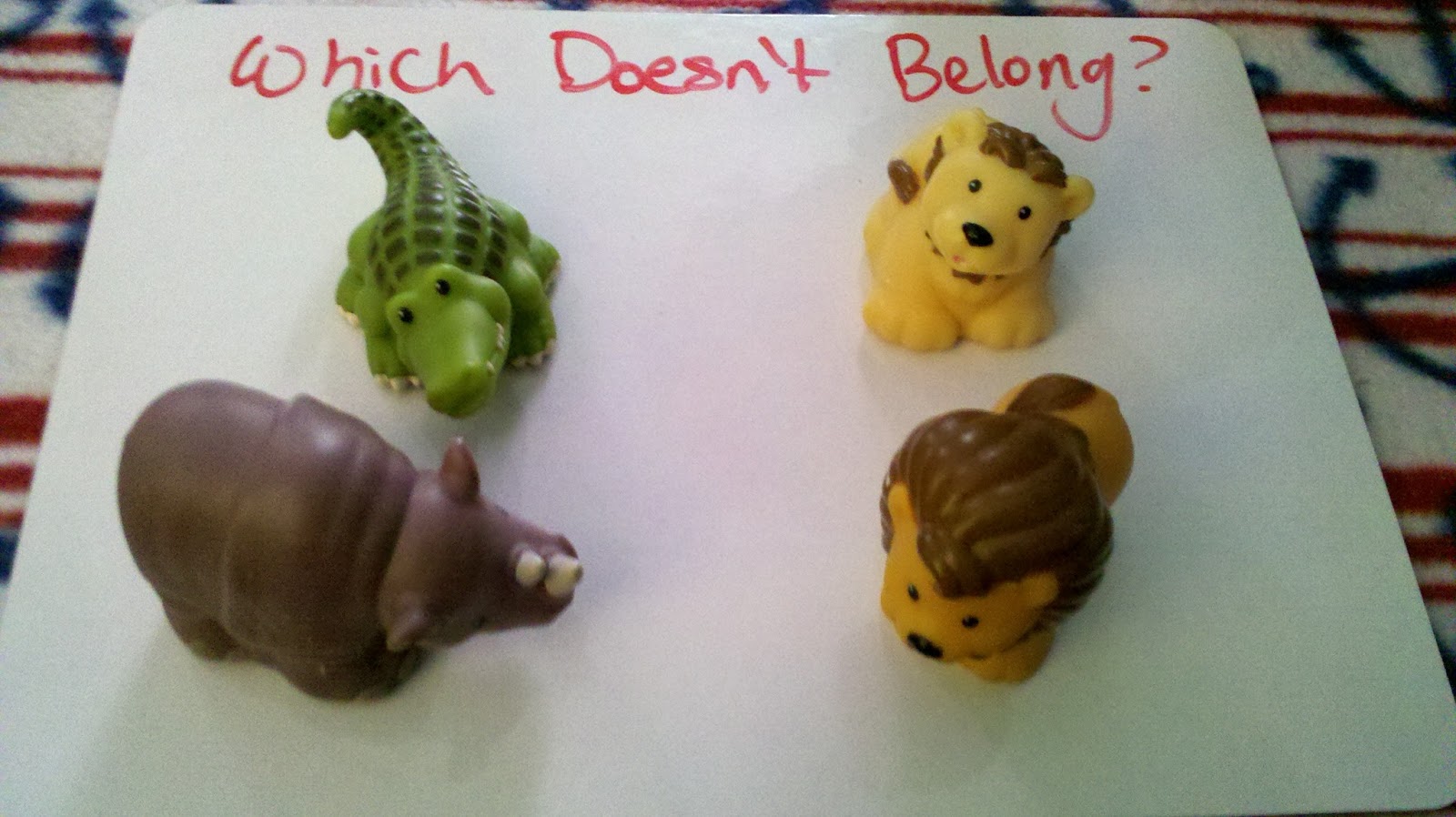 Munchkin and Bean: Which One Doesn't Belong?