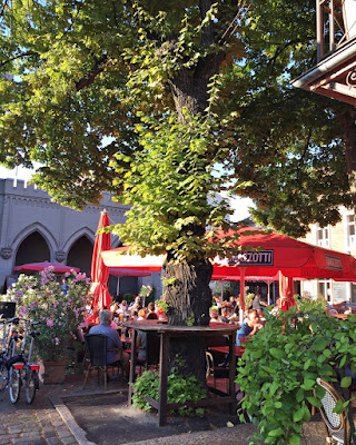 Fish With Whiskey Page 30 An Aussie Scientist Adrift In Berlin