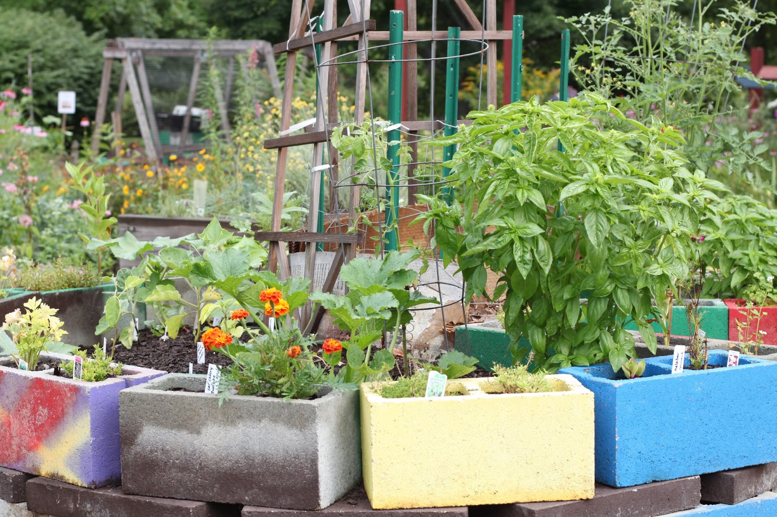 the view from the demo garden: keyhole garden