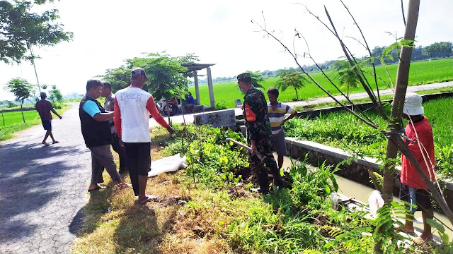Basmi Hama Tikus, Babinsa Cawas, PPL dan Poktani adakan Gropyokan