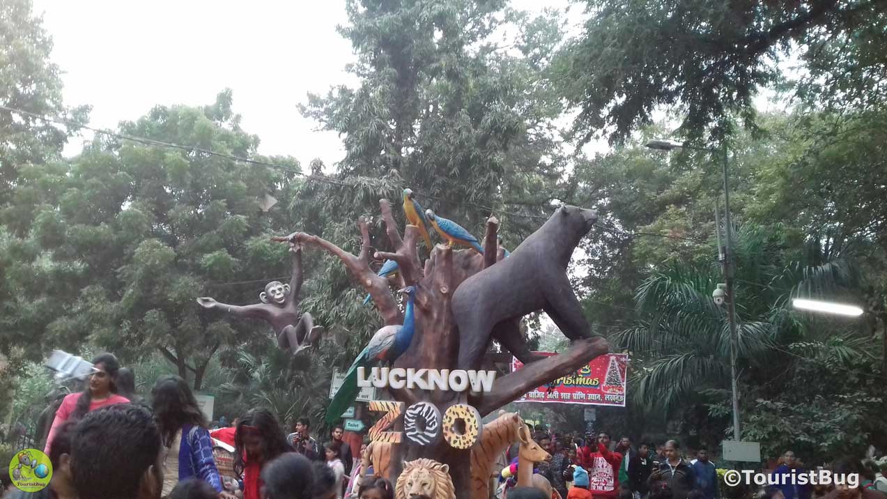 Lucknow Zoo Nawab Wajid Ali Shah Zoological Garden