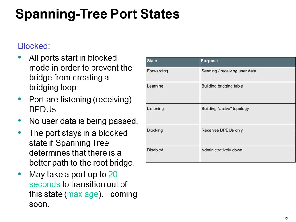 Networking And Scripting : Spanning Tree Protocol :PPT