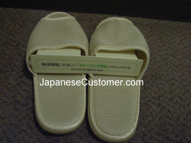Indoor Slippers Japan Copyright Peter Hanami 2010