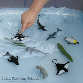 Water Play: Sorting Land and Water Animals | Still Playing School