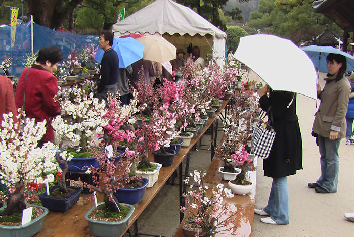 Staudengarten Gross Potrems: Japanische Gärten