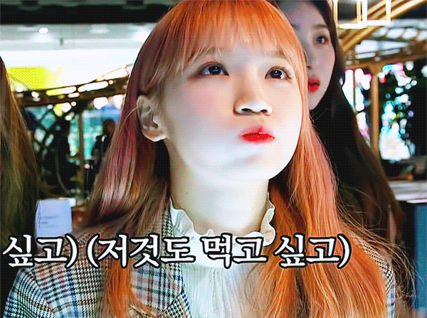 기욤기욤한 쌈무요정 아이즈원 김채원! | 인스티즈