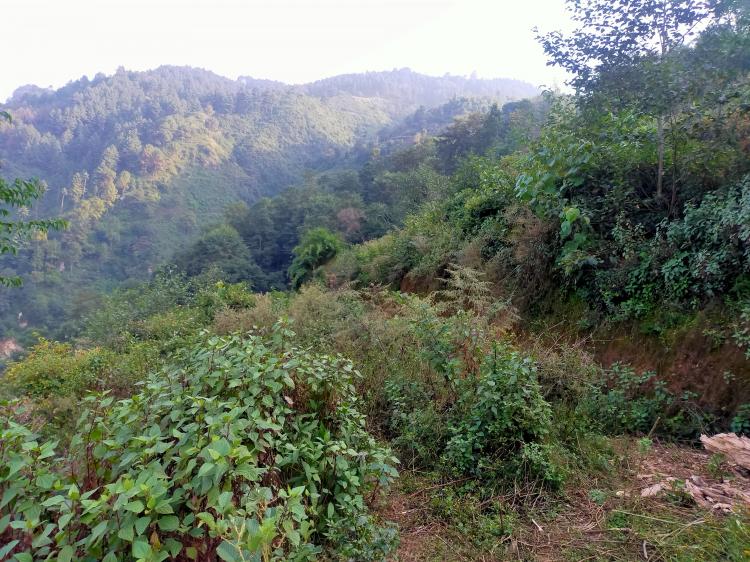 Land for Sale at Kathmandu