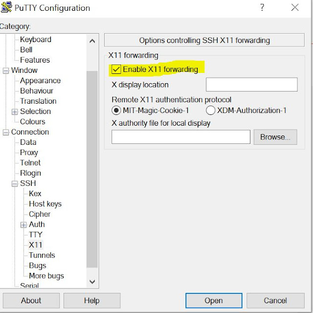 Putty Setting for x11