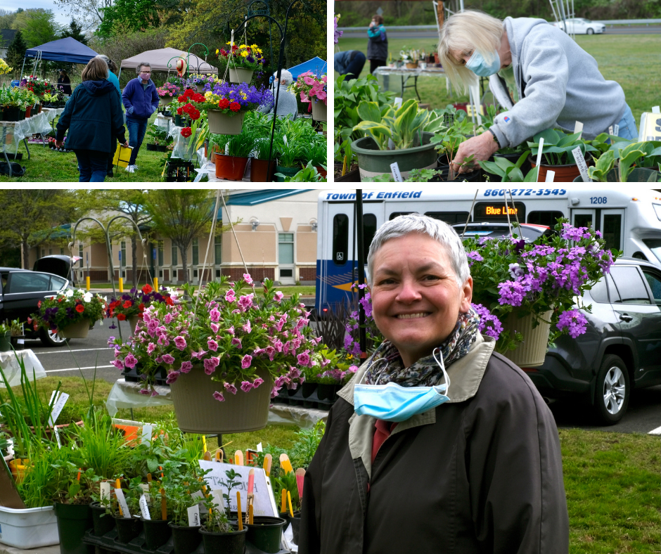 Enfield Garden Club 2021 PLANT SALE MAY 8
