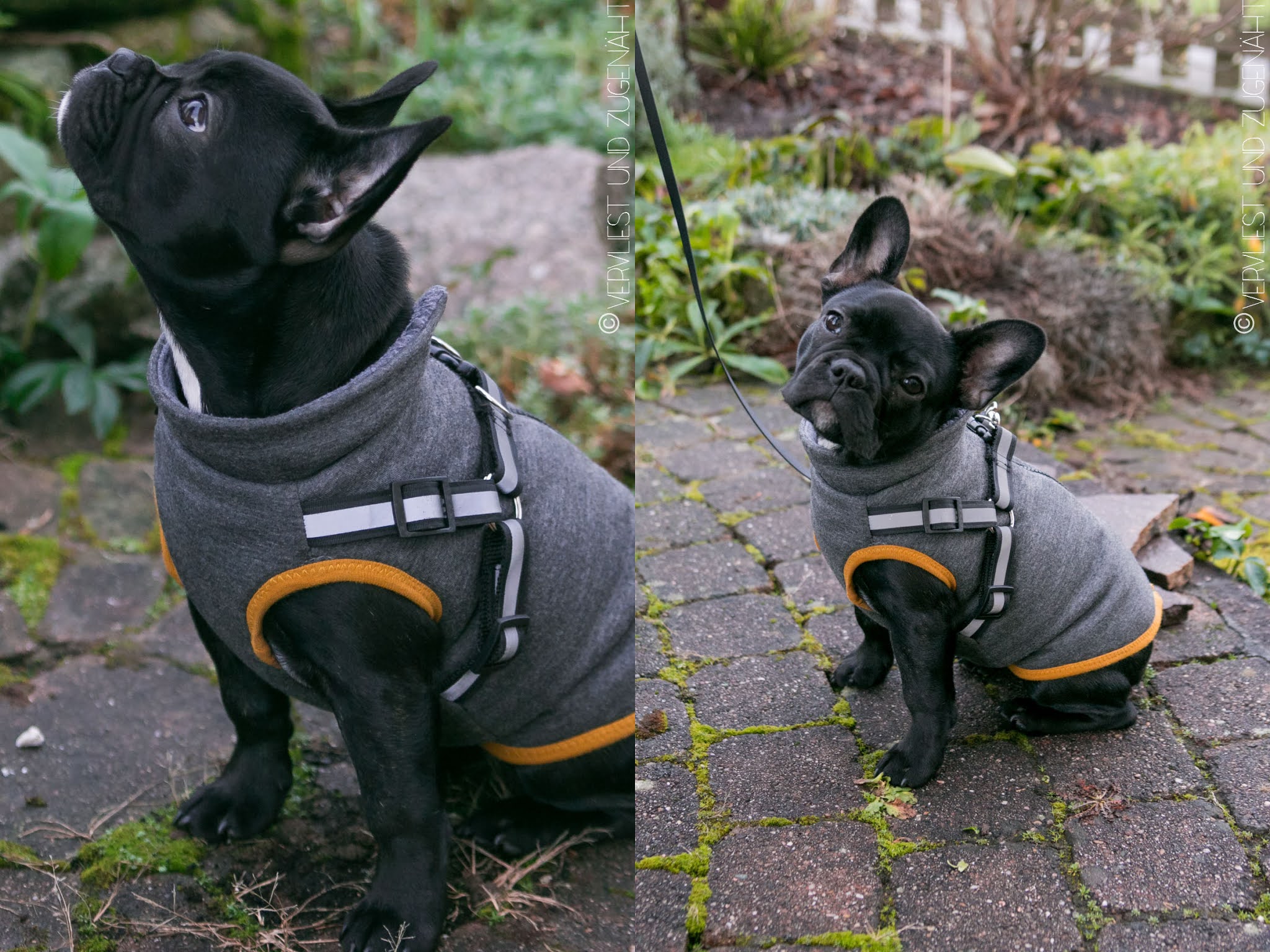 Vervliest Und Zugenaht Hundemantel Yvie Schnittmuster