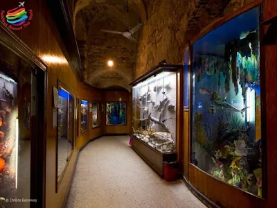 National Museum of Marine Biology and Aquarium - Alexandria