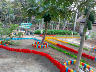 Kebun Taman Gizi Kampung KB Gumulan Kebun Taman Gizi Kampung KB Gumulan