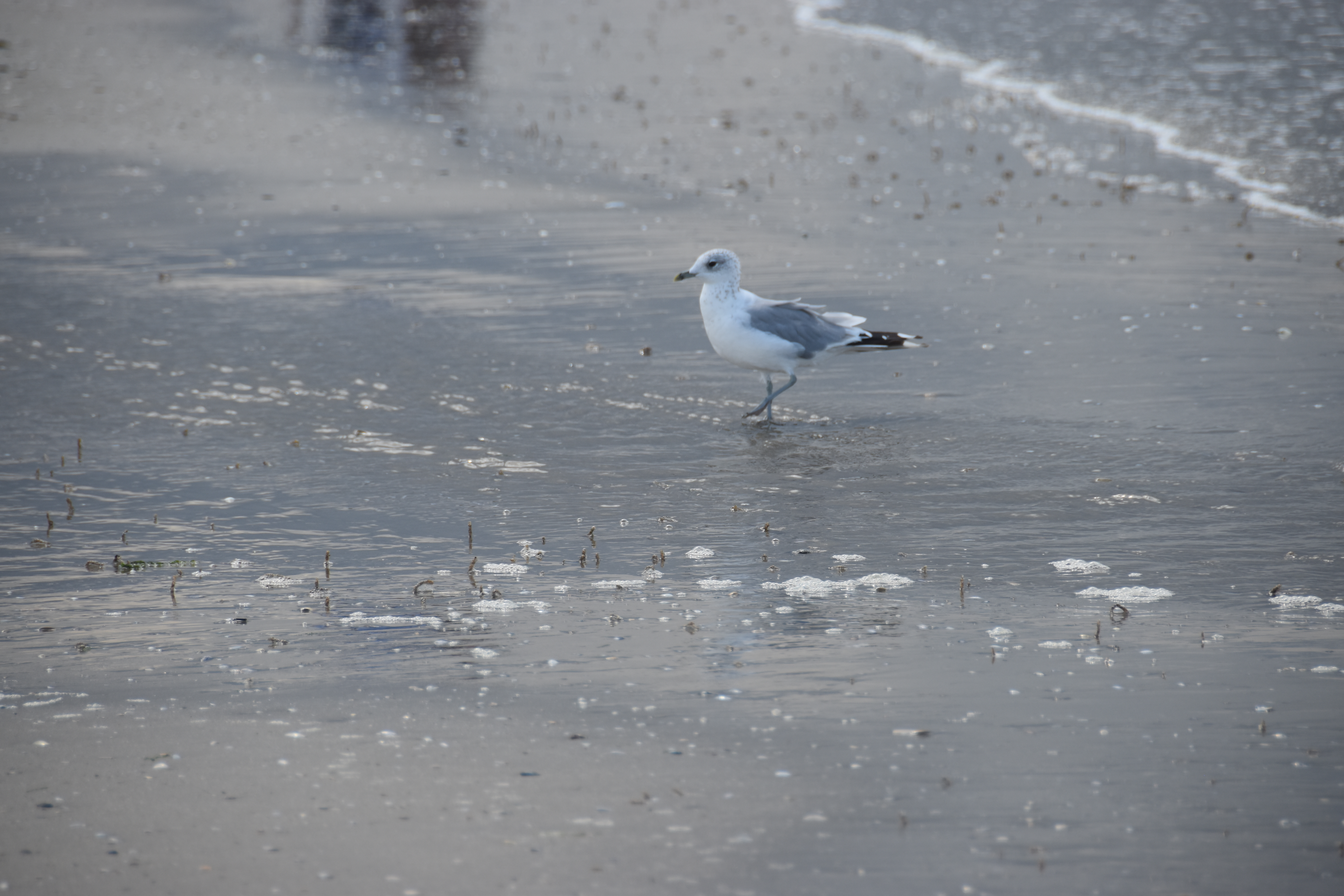L’attribut alt de cette image est vide, son nom de fichier est DSC_0280.JPG.