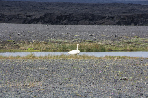 Велопоход по Исландии