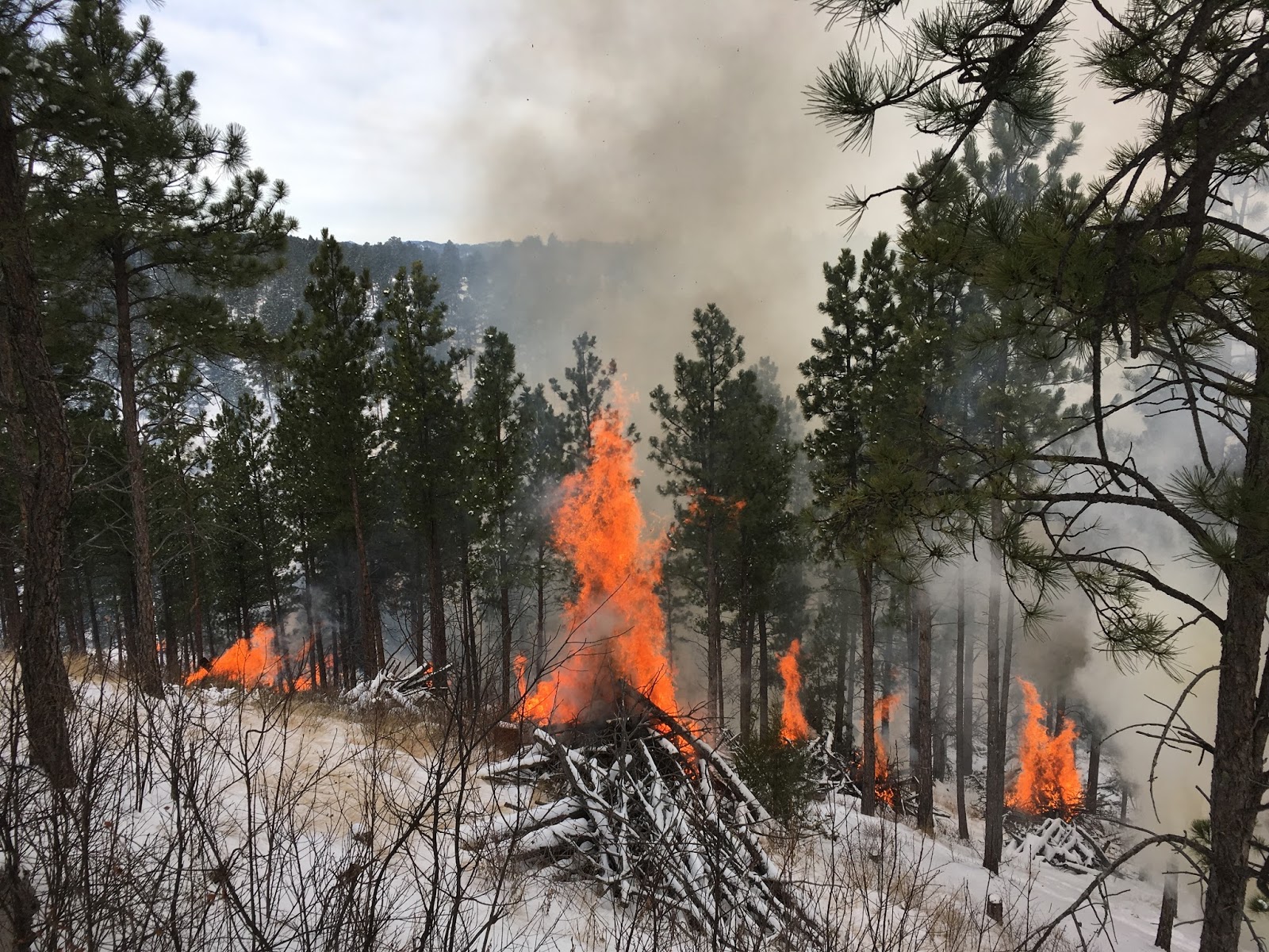Great Plains Fire Information 12/19/2016 South Dakota Wildland Fire