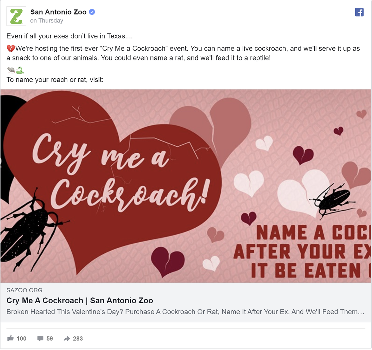 Name A Cockroach After Your Ex And Watch An Animal Eat It On Valentine's Day Cockroach, Valentines
