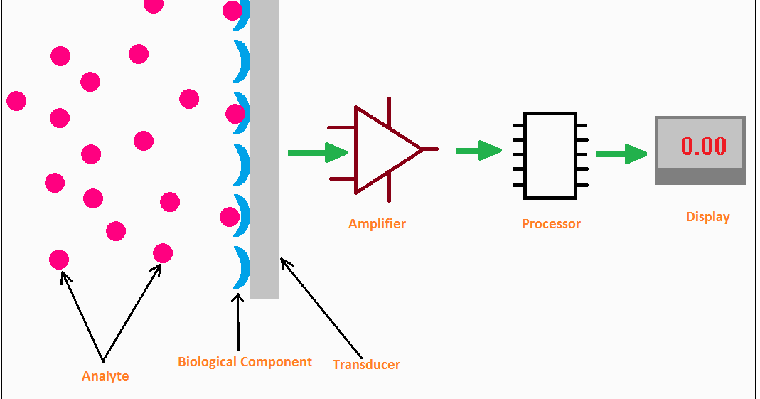 Biosensor Applications, Uses, Examples and Advantages ETechnoG