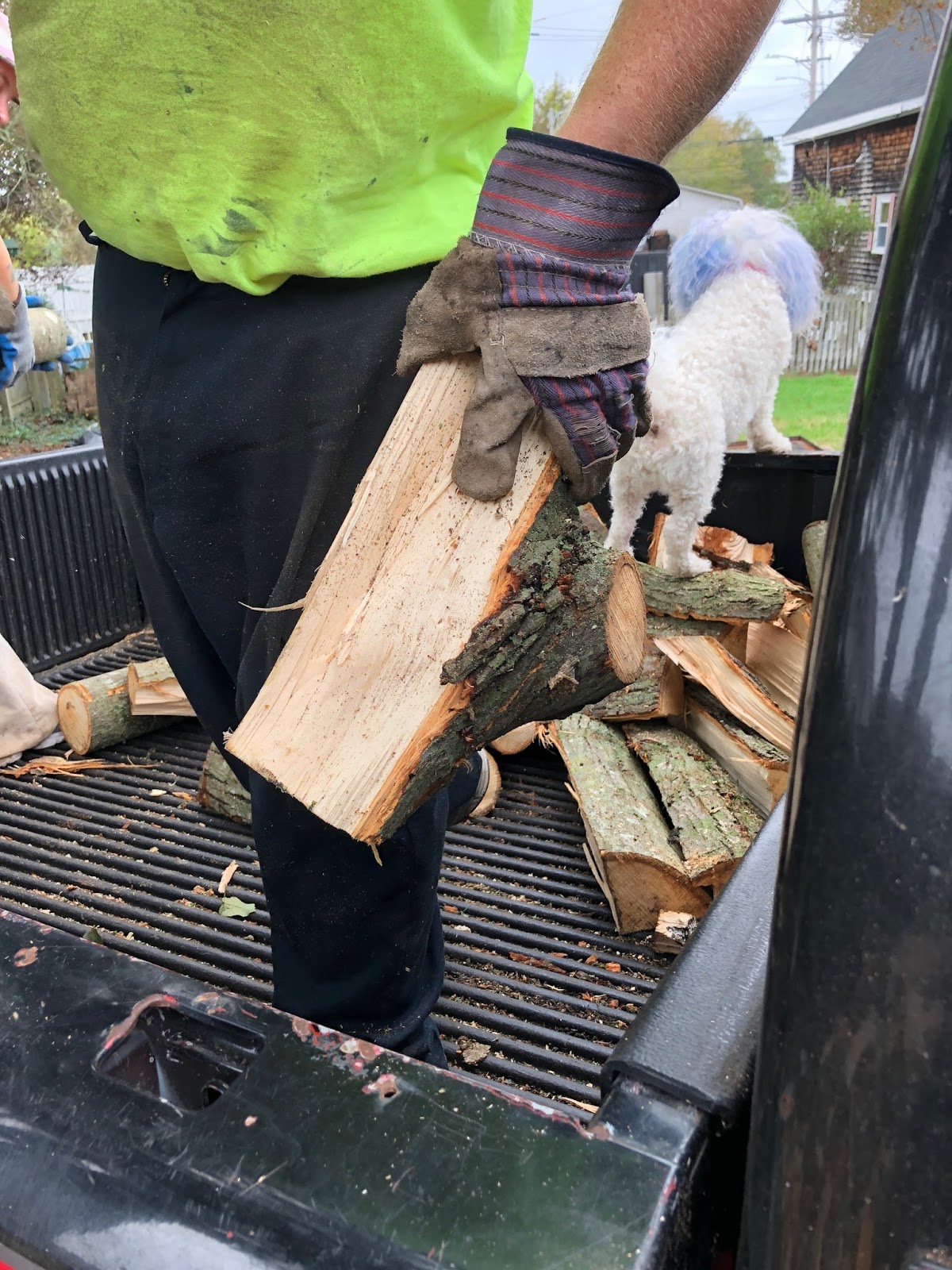 PaulaJeanAndCooper Adventures In Motorcycling Part 5 Chucking Wood