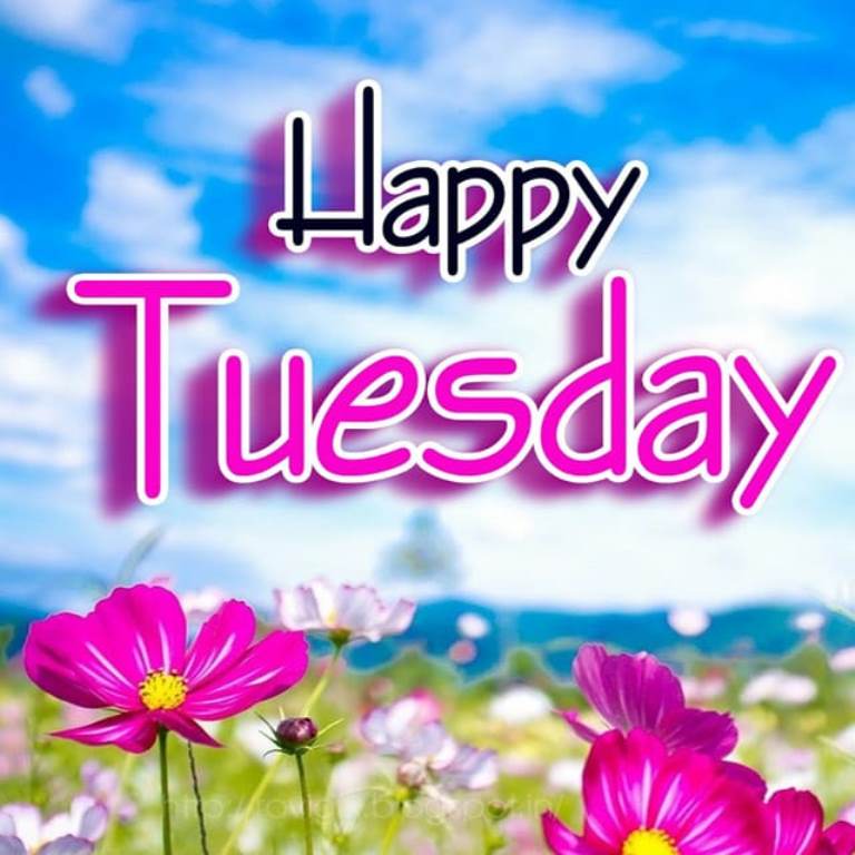 Have a great Tuesday. 