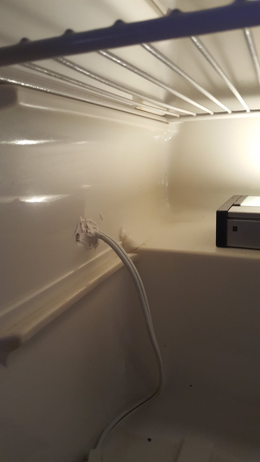 Amateur Algae culturing and cultivation Setting up Algae Incubator for Culturing petri dishes